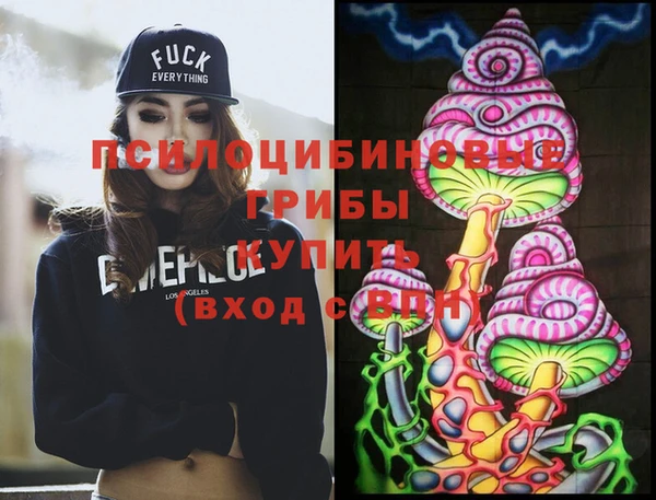 PSILOCYBIN Армянск