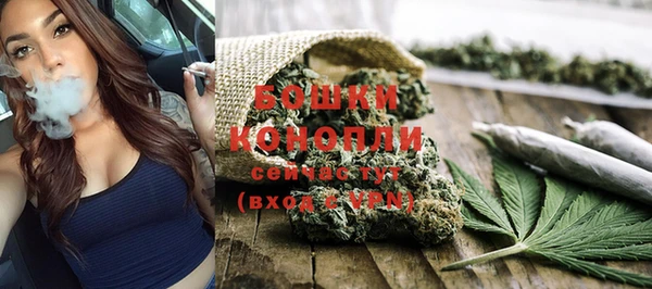 PSILOCYBIN Армянск
