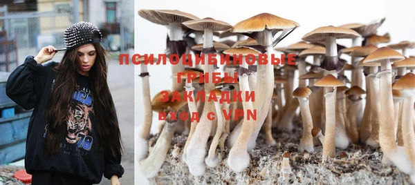 PSILOCYBIN Армянск