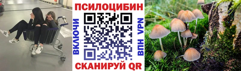 Галлюциногенные грибы Magic Shrooms  Купить где  Томари 